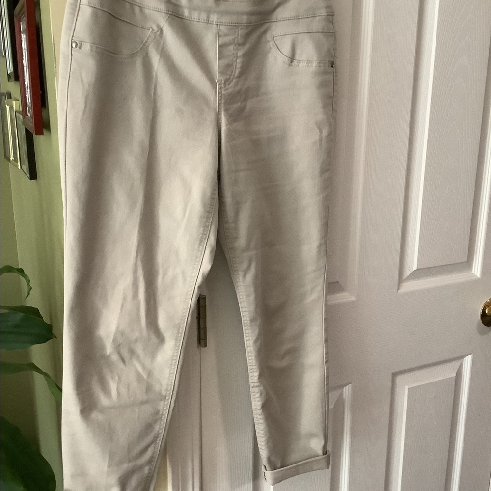 Style & Co. size 8 Capri